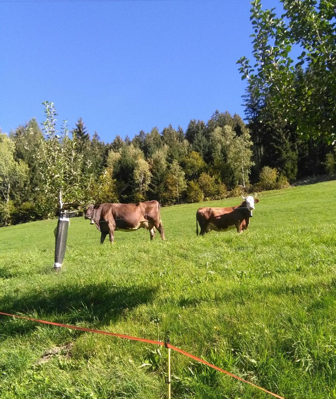 Apartmán Stockhof Zell am Ziller Exteriér fotografie