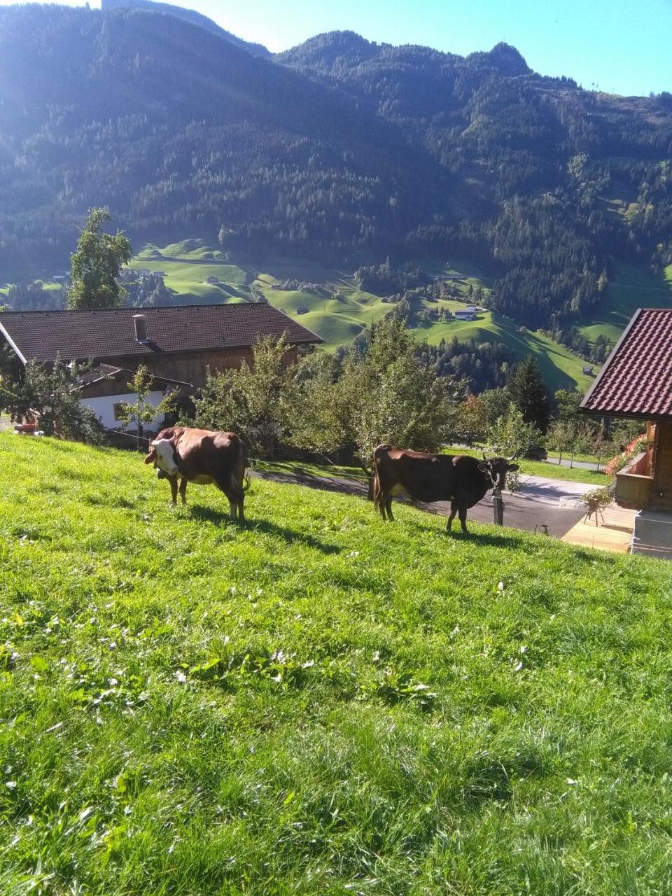 Apartmán Stockhof Zell am Ziller Exteriér fotografie